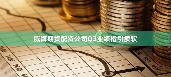 威海期货配资公司Q3业绩指引疲软