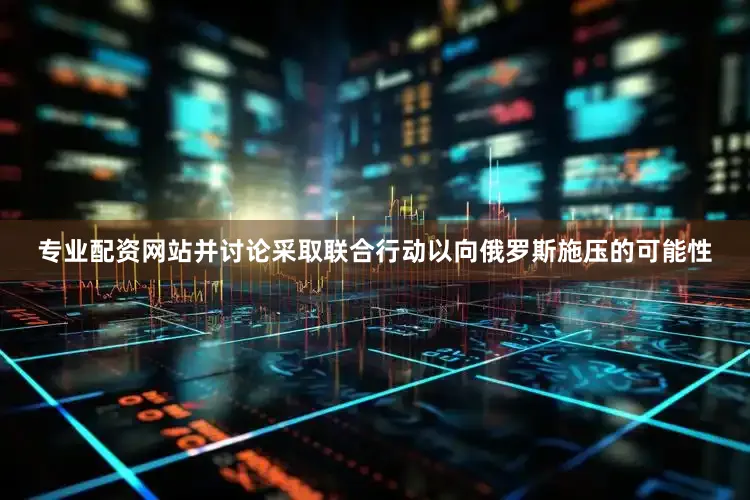 专业配资网站并讨论采取联合行动以向俄罗斯施压的可能性