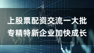 上股票配资交流一大批专精特新企业加快成长